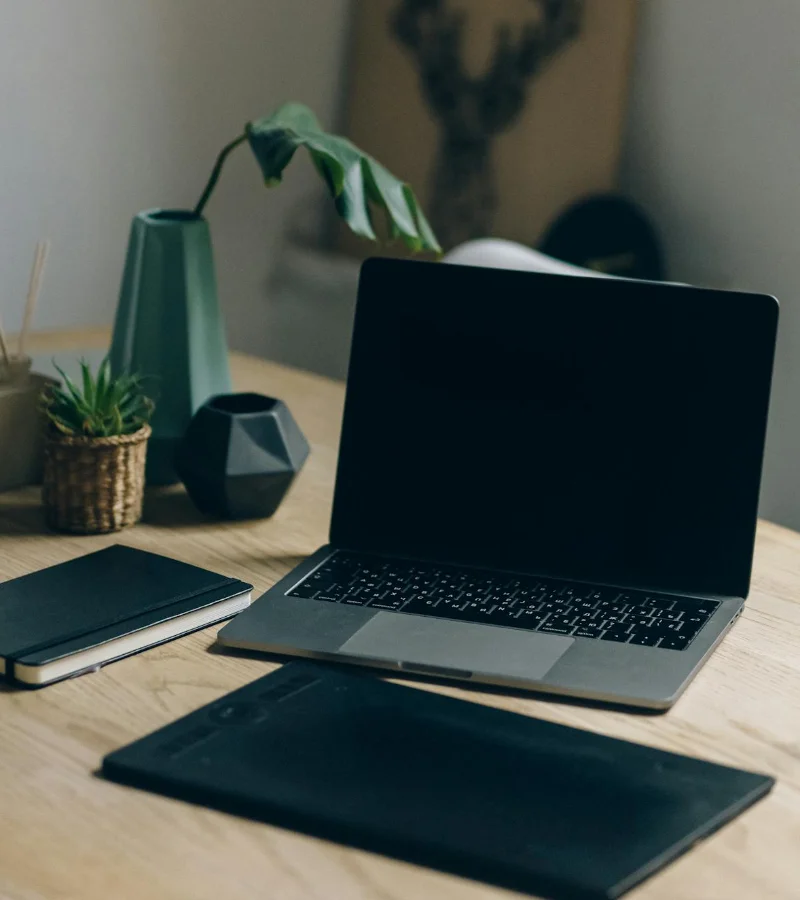 Developer illustration